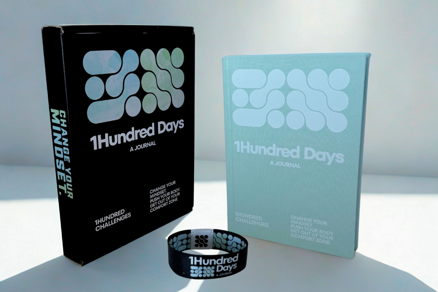 1Hundred Days a Journal