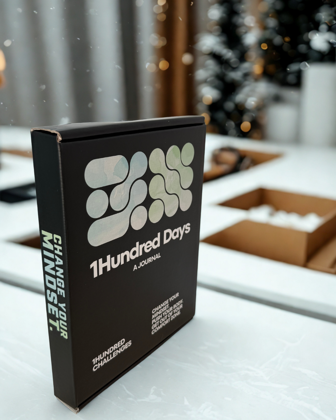 1Hundred Days a Journal