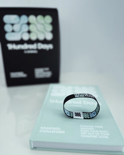 1Hundred Days a Journal