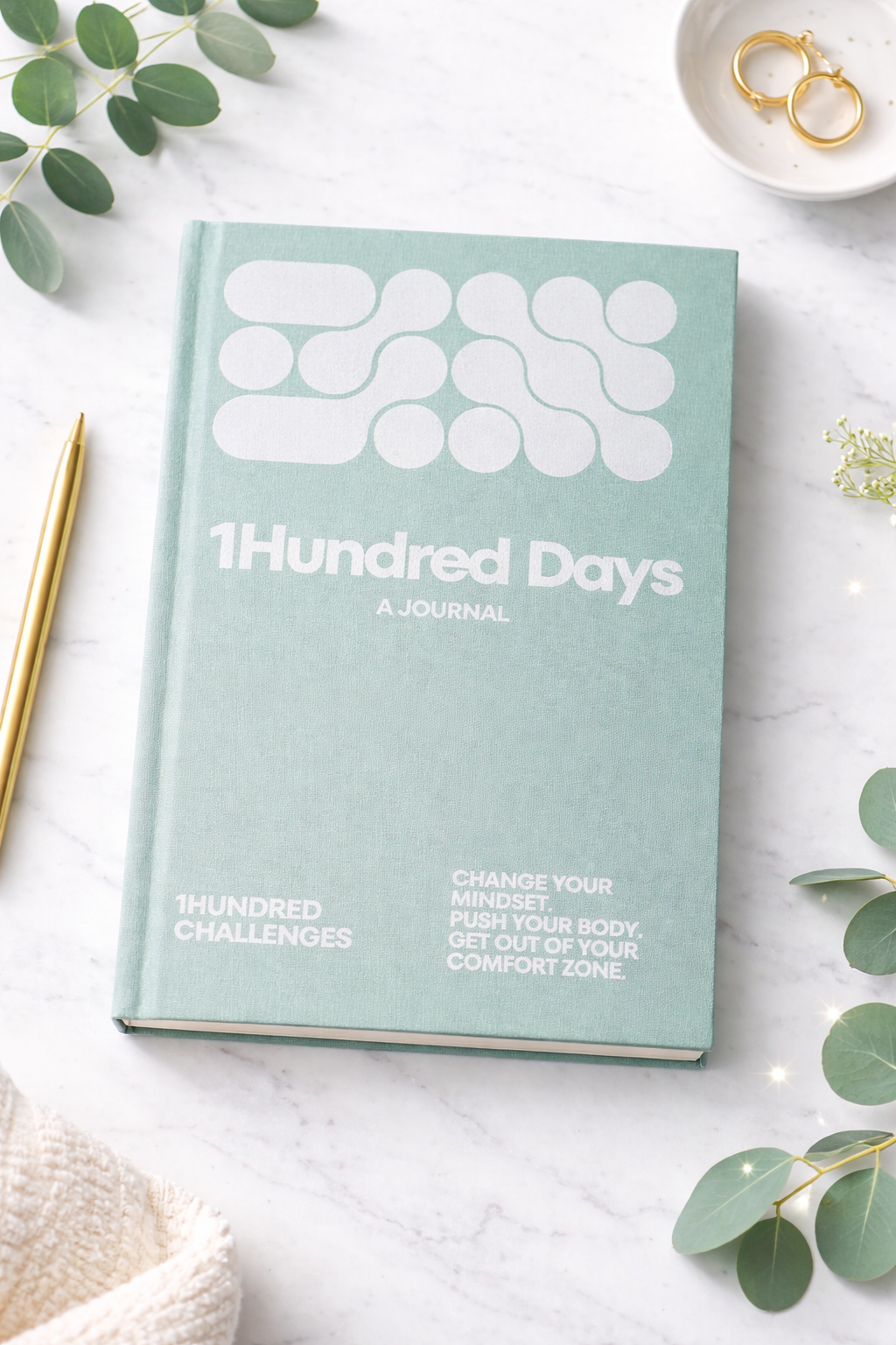 1Hundred Days a Journal