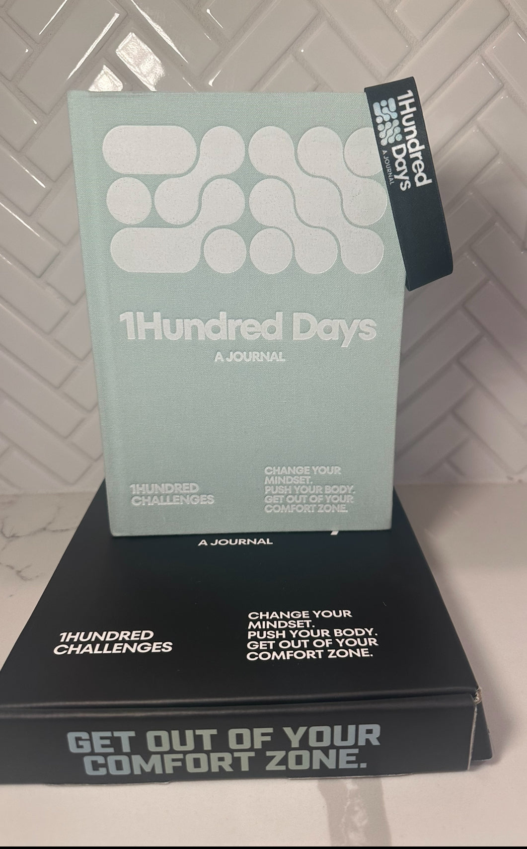 1Hundred Days a Journal