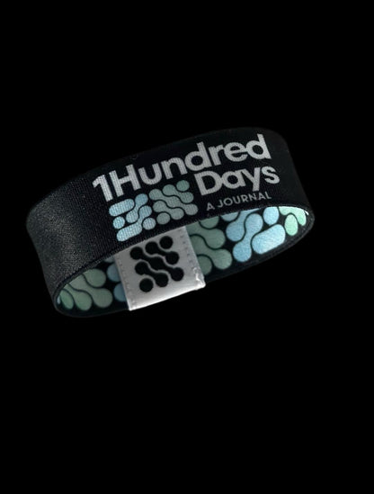 1Hundred Days a Journal