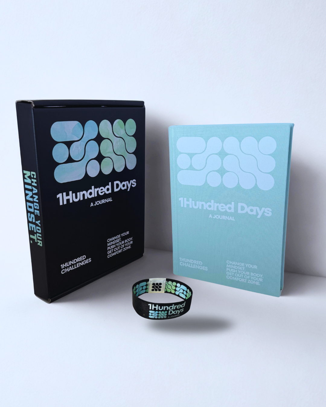 1Hundred Days a Journal