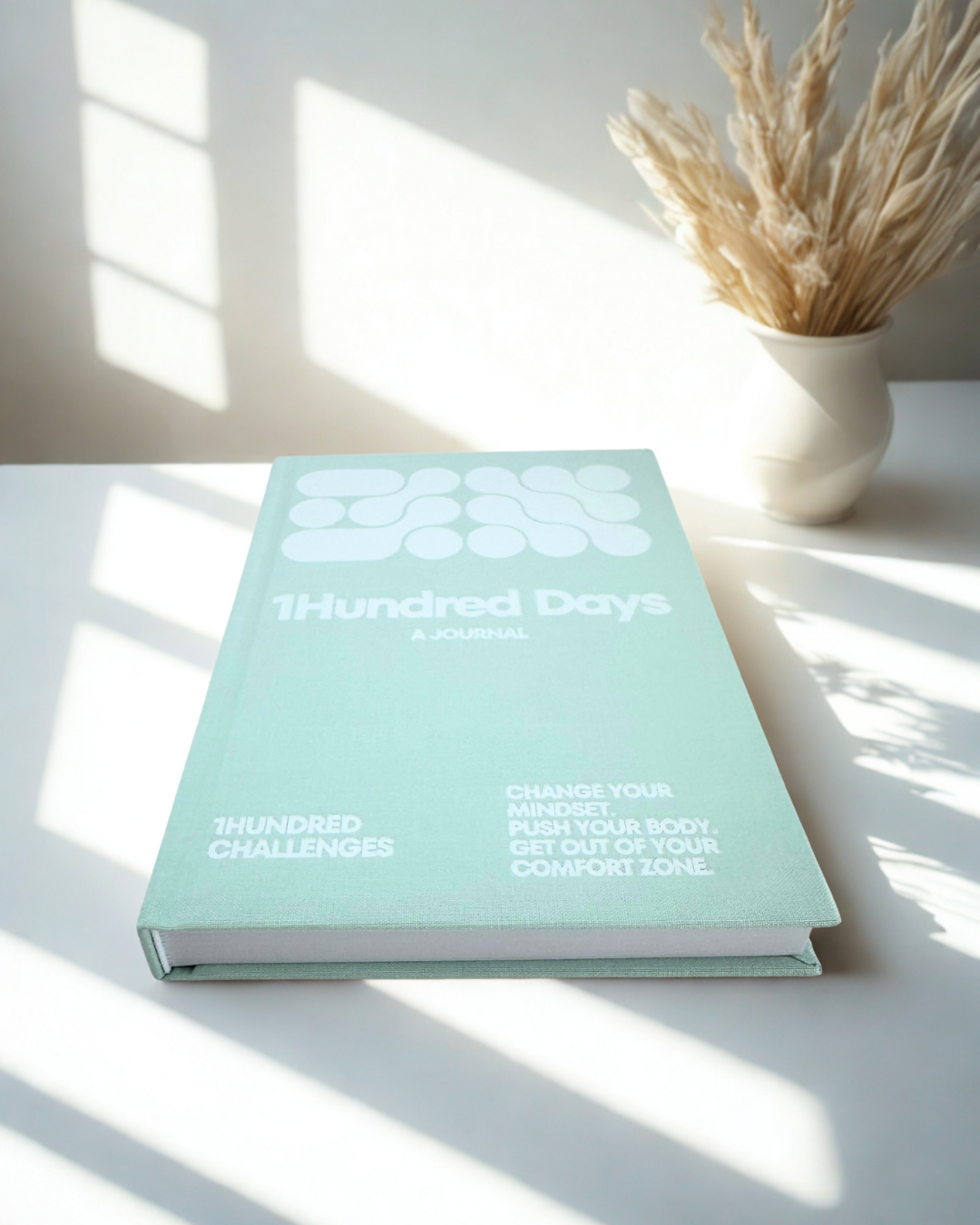 1Hundred Days a Journal